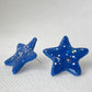 Star struck stud earrings